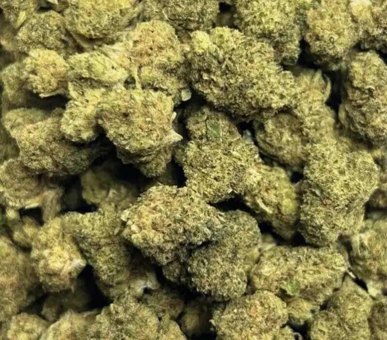 Small Bud Super Cheese hydrocultuur bloemen
