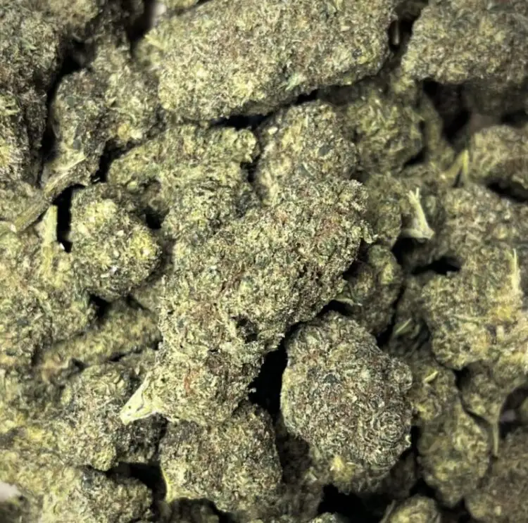 420 DREAM THCP