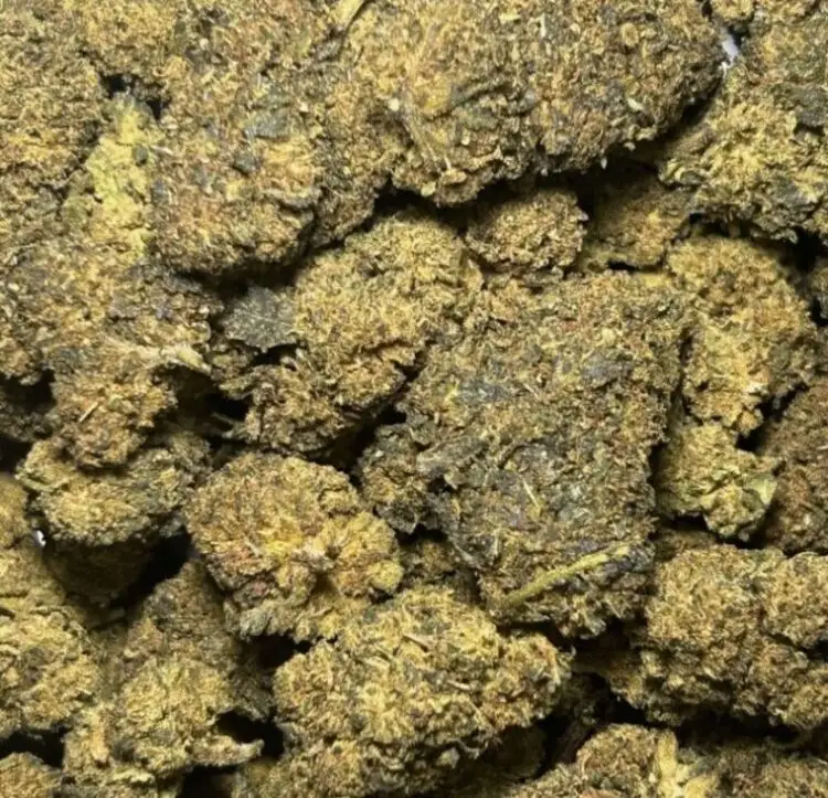 fleurs Critical Mass HHCPO
