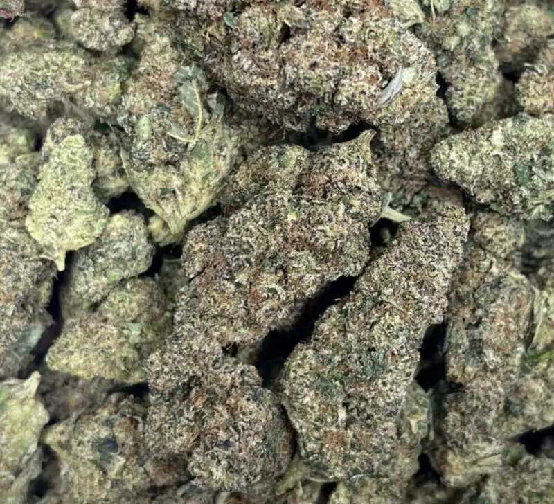 Jungle Haze THCP