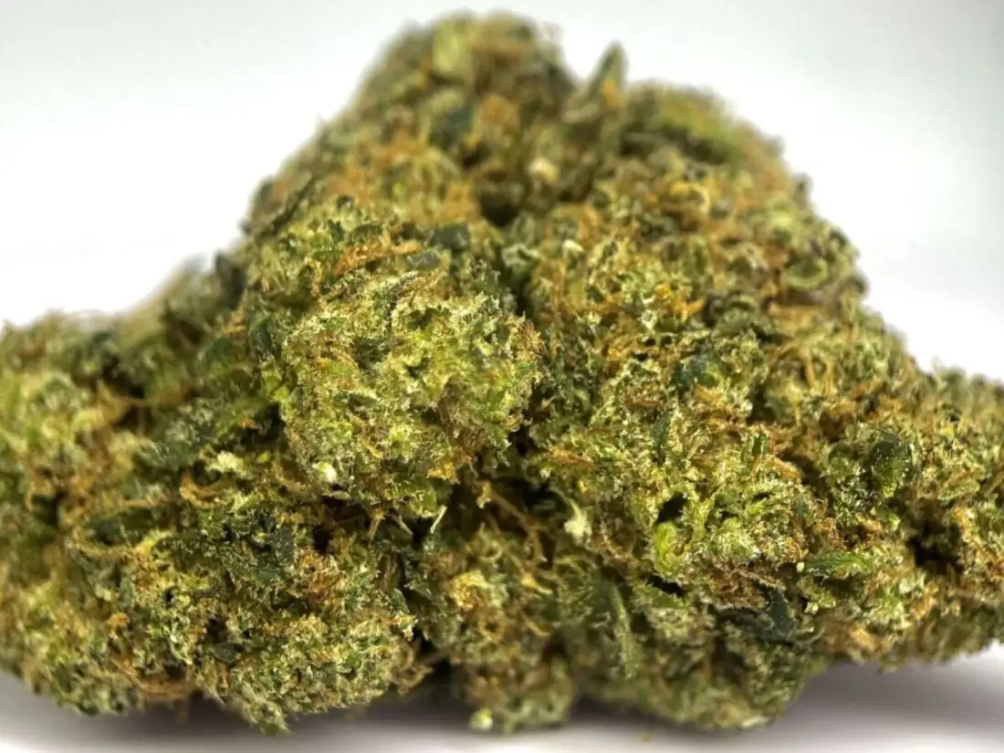 Death Star fleur THCPO