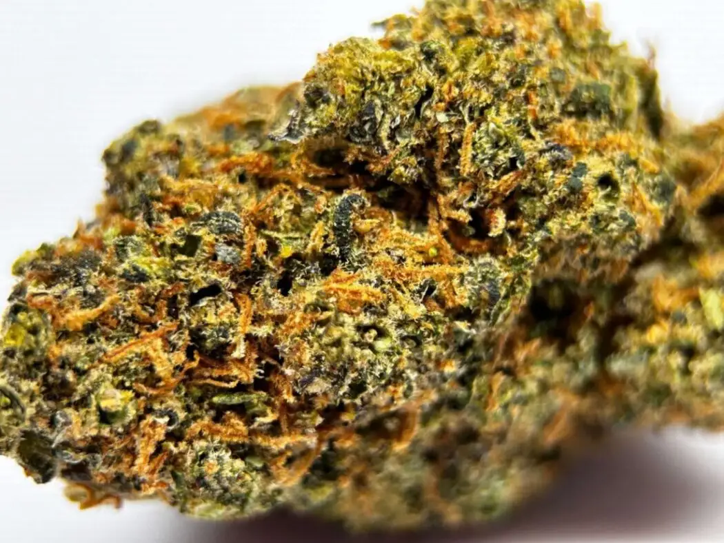 CANDY OG HHCPO