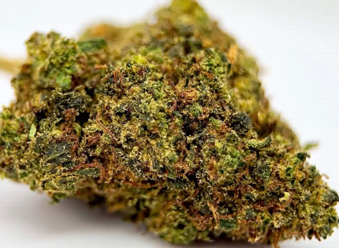 BIG HAZE US THCP