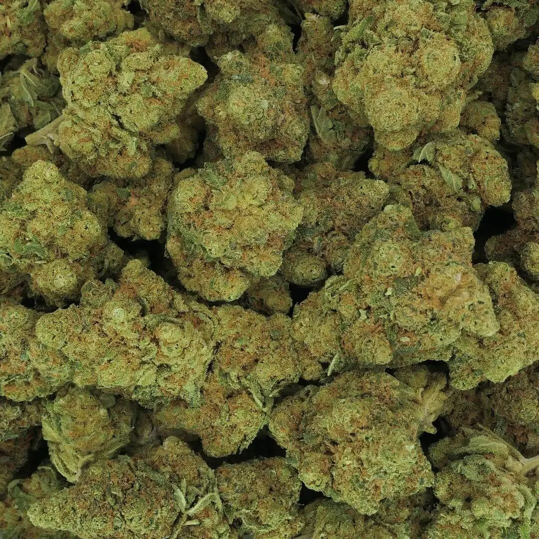 RS11 - FLEUR - HYDRO