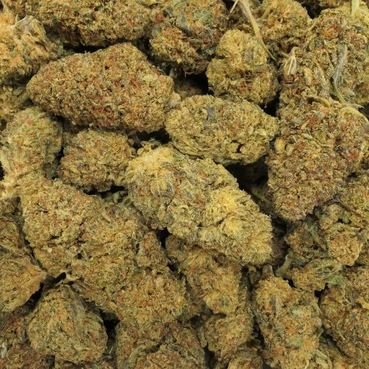 GORILLA PUNCH - FLEUR - 10 OH HHC