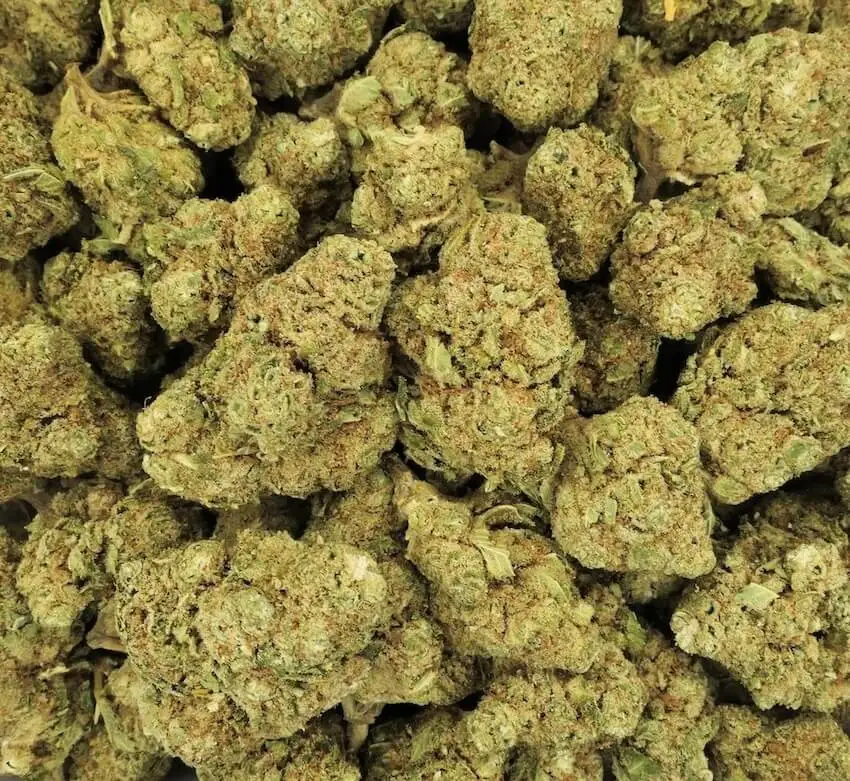 ak49 fleur mix 10ohhhc
