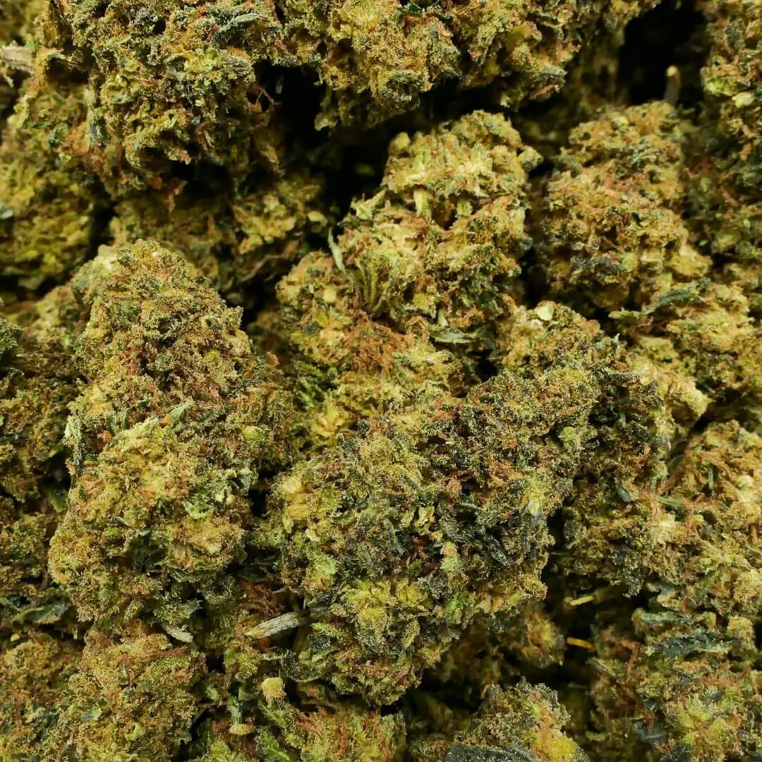 LEMON OG CANDY - FLEUR 10 OH HHC