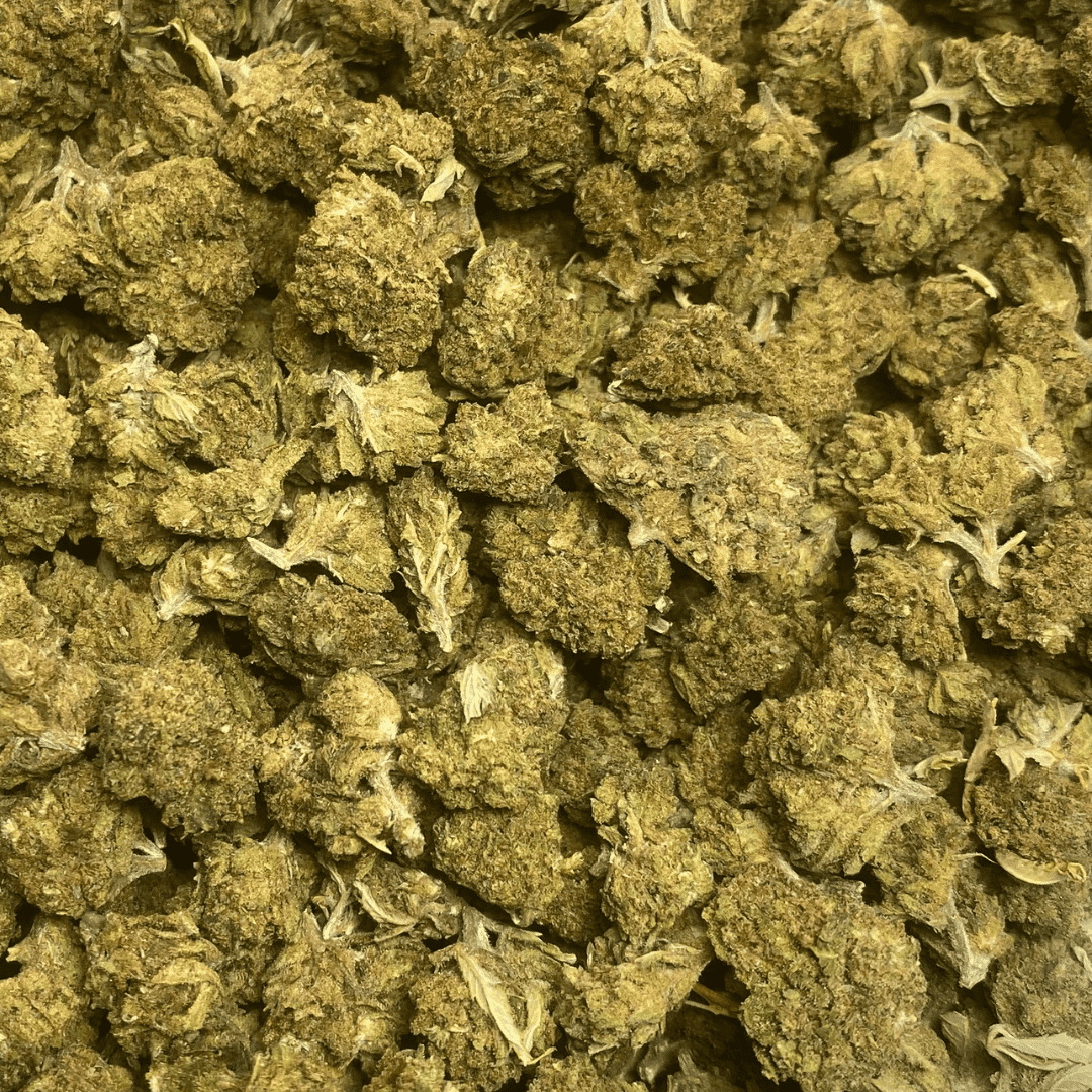 SB HAZELNUT SB HAZELNUT