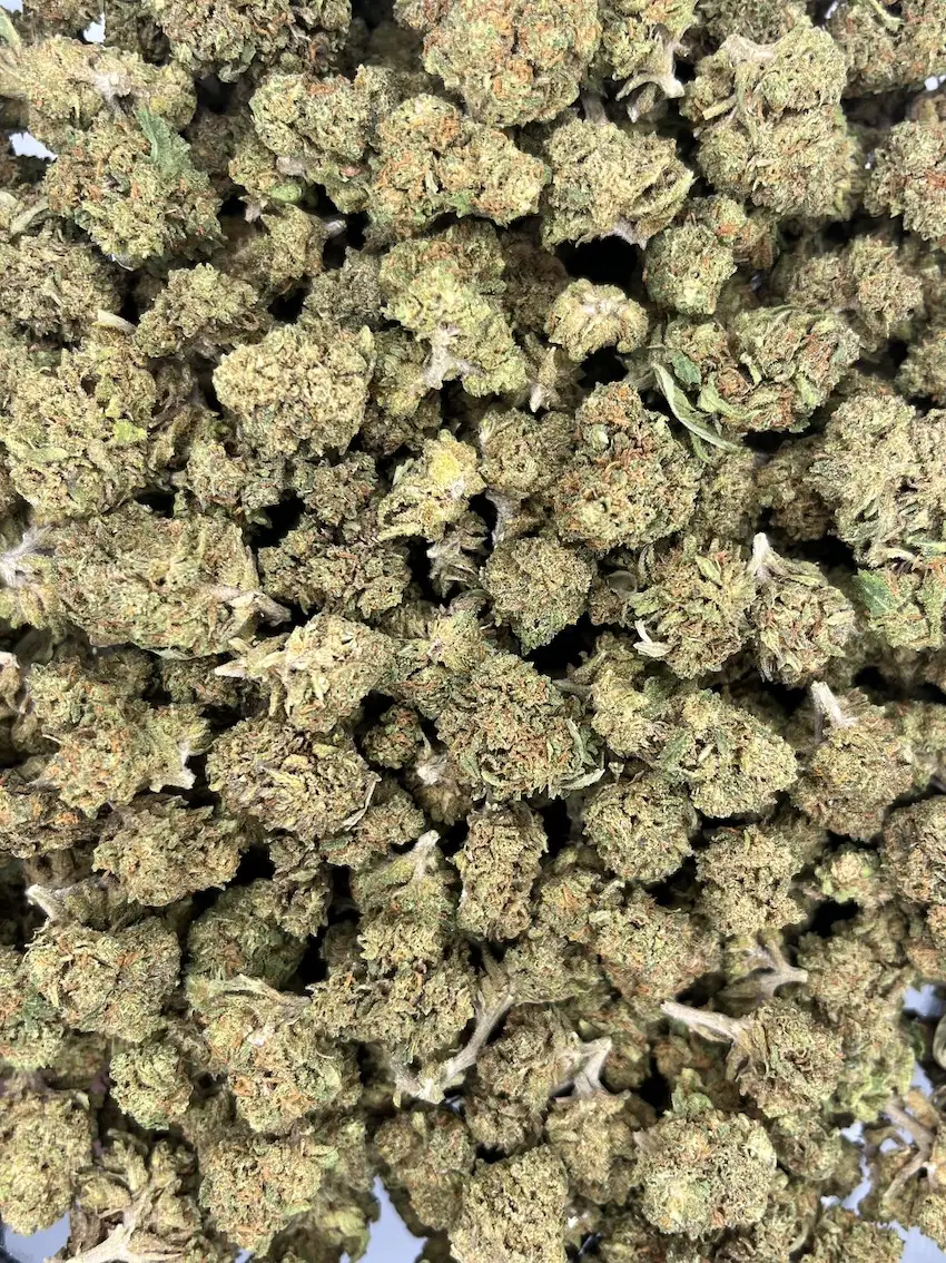 small bud extra fleurs de cbd