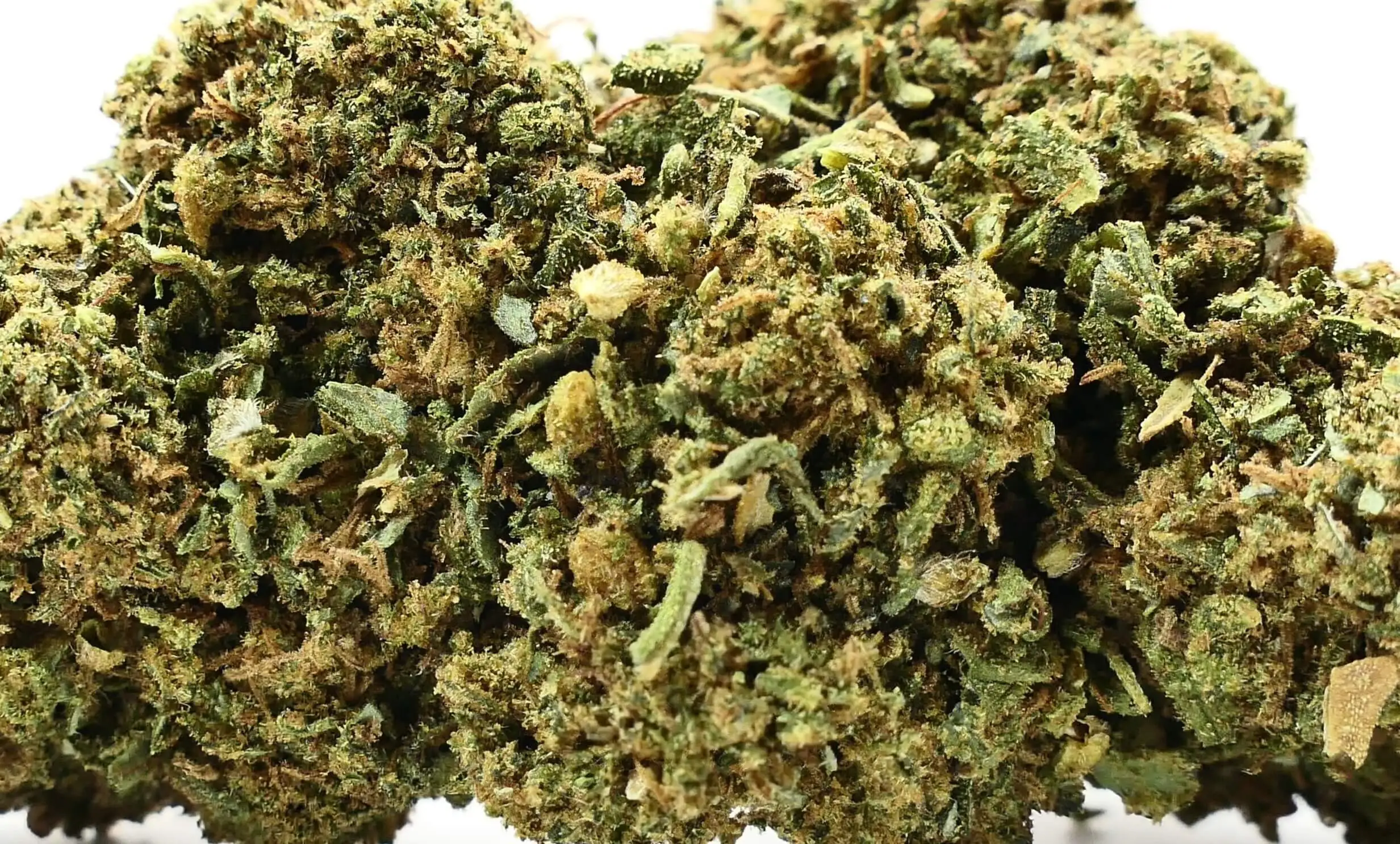 GELATO FLEUR DE CBD