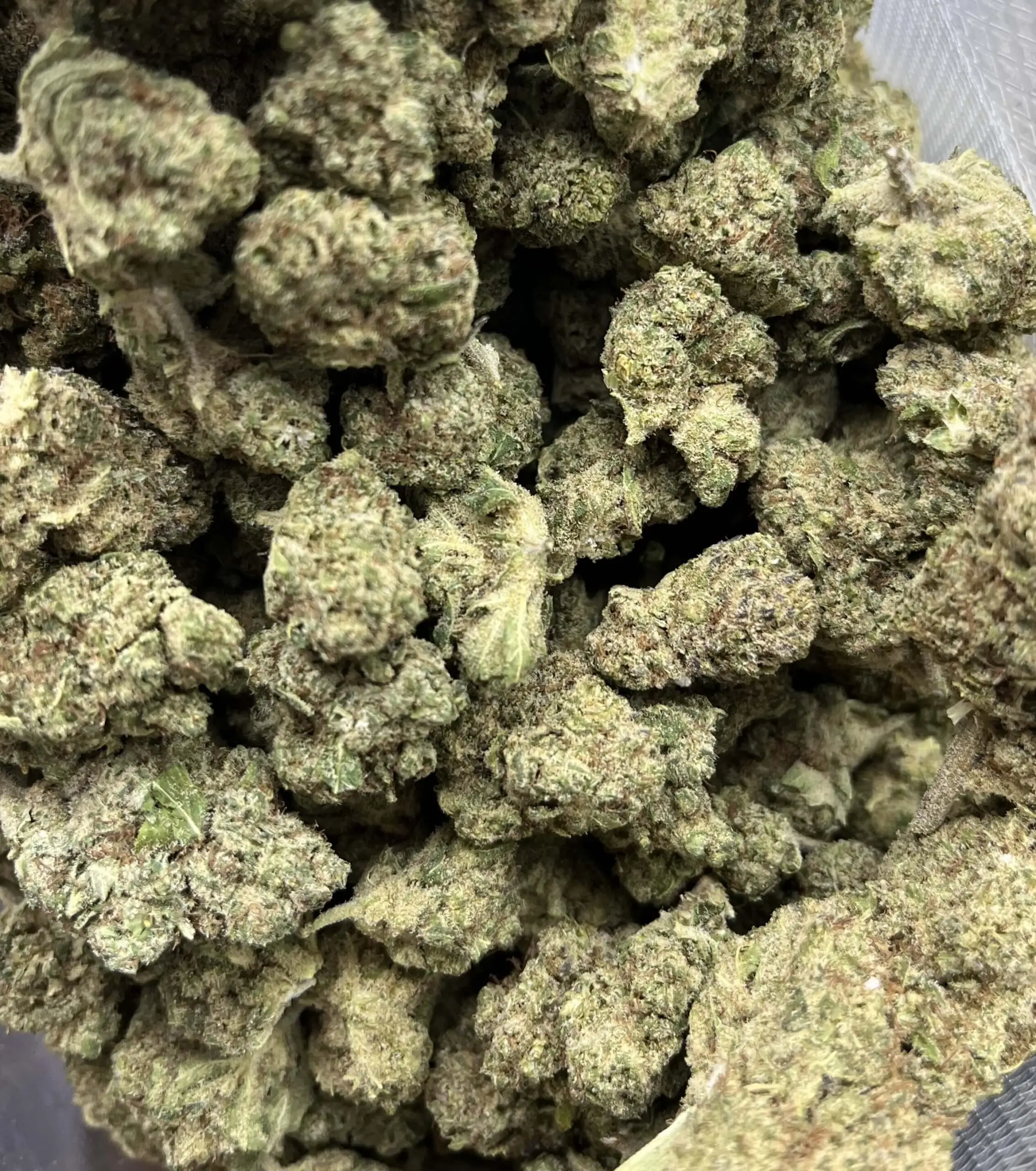 Crystal Snow fleurs hydroponiques