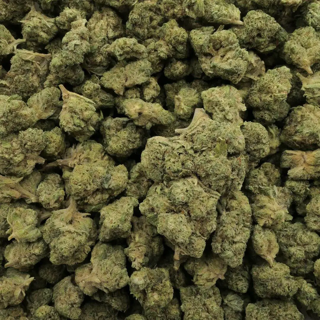 SOUR DIESEL - FLEUR MIX 10 OH SOUR DIESEL - FLEUR MIX 10 OH