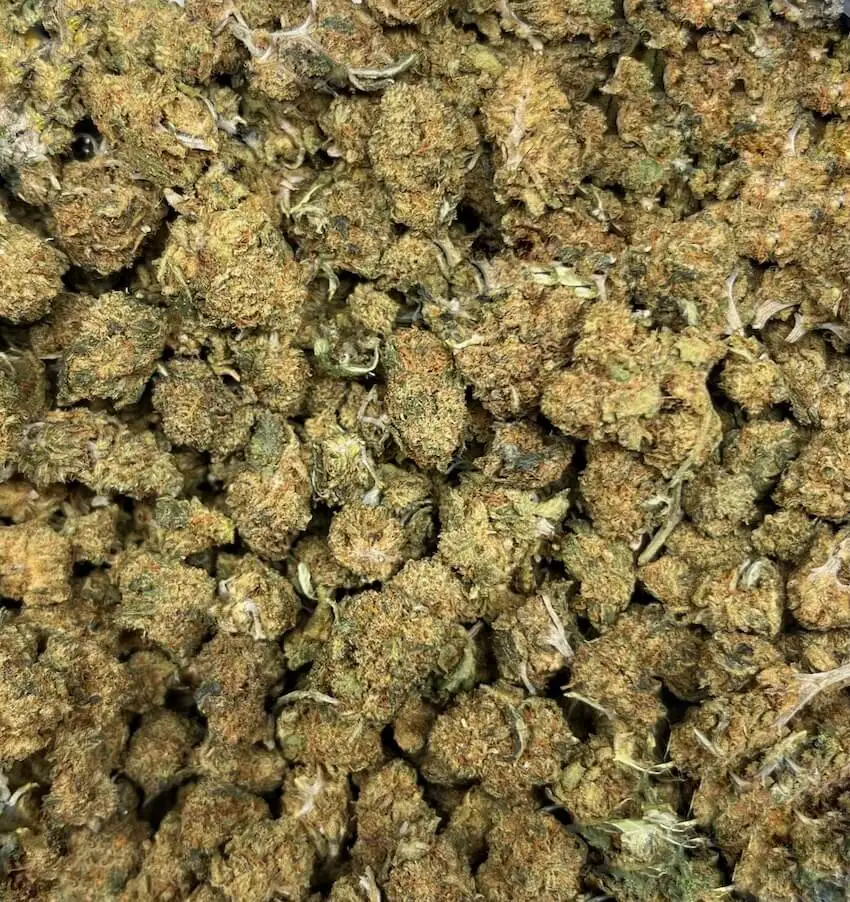 small bud goji og small bud goji og thm