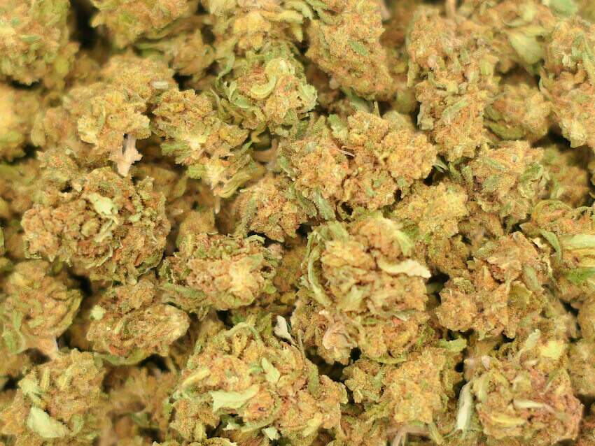 fleurs de CBD supreme amnesia