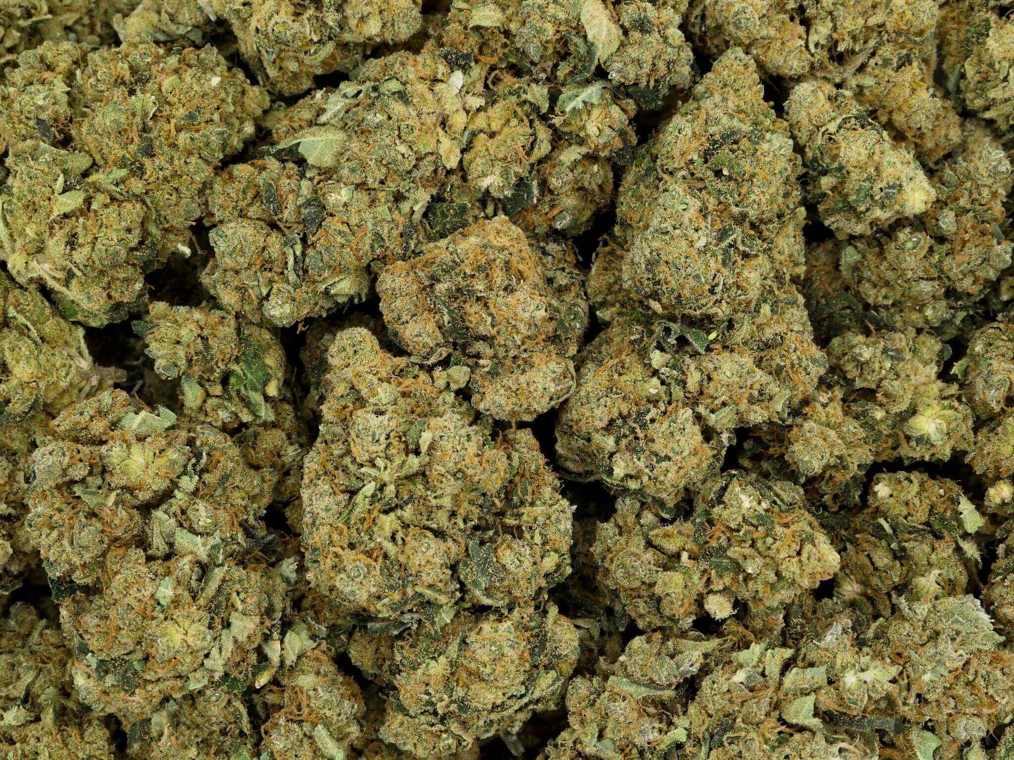 SKYWALKER OG FLEUR DE CBD HYDROPONIQUE
