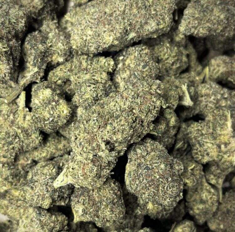 420 DREAM THCP