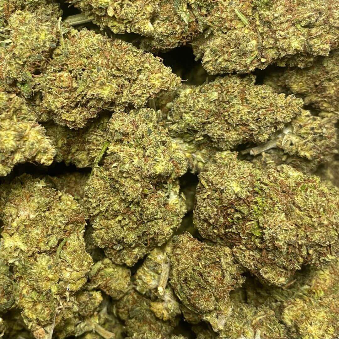 PINK PANTHER