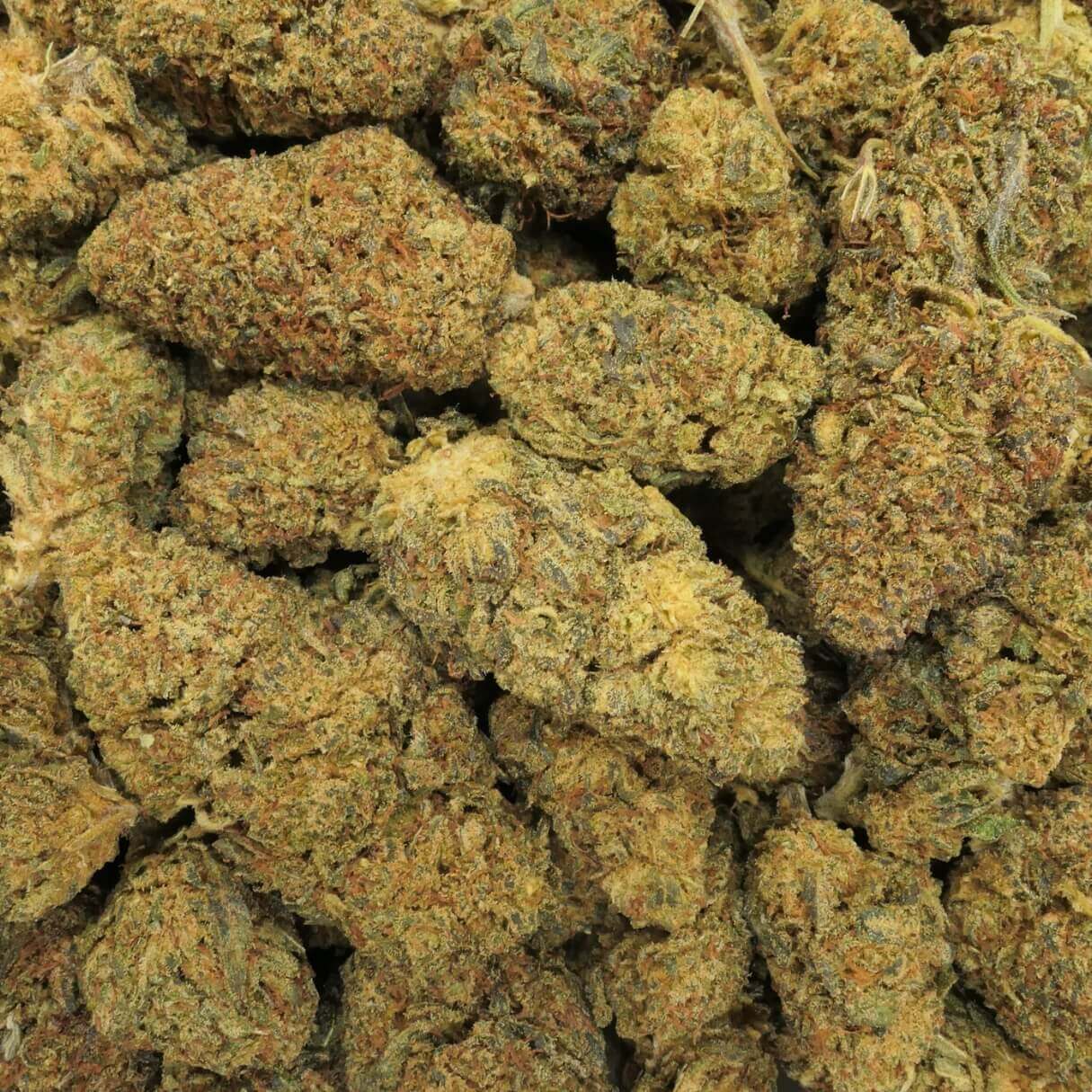 GORILLA PUNCH - FLEUR - 10 OH HHC