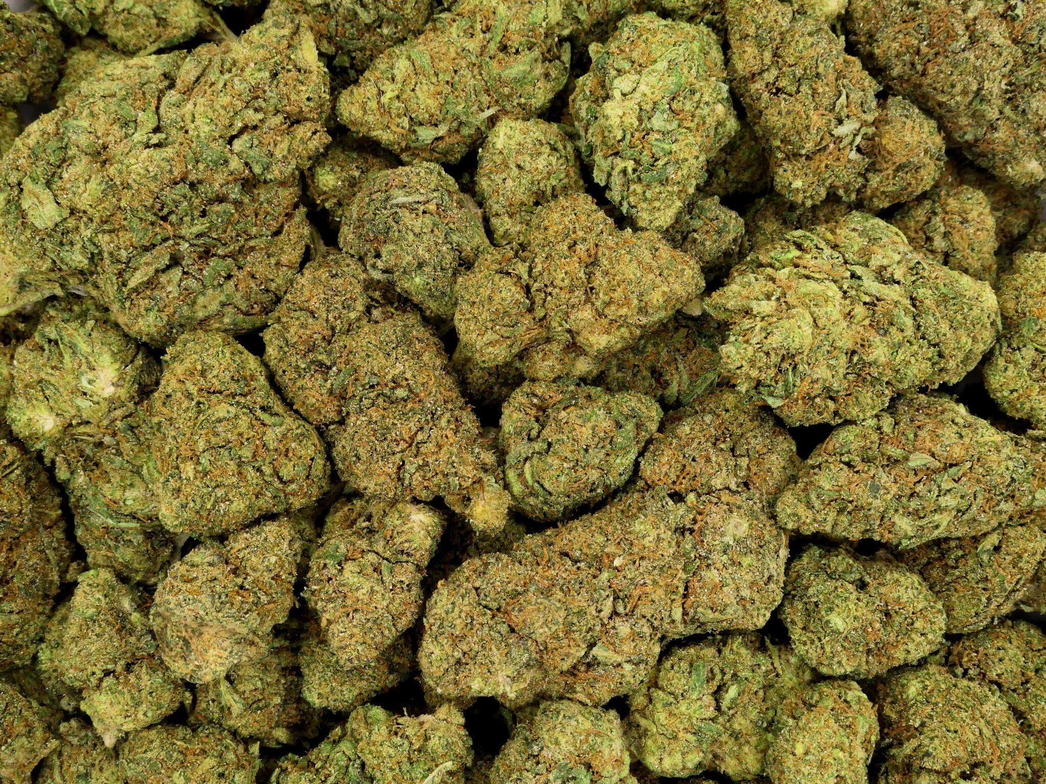 BLUE DREAM FLEUR DE CBD HYDROPONIQUE
