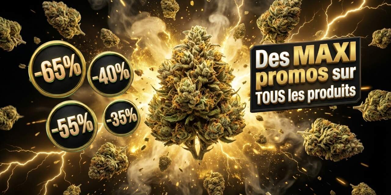 offre nolimit
