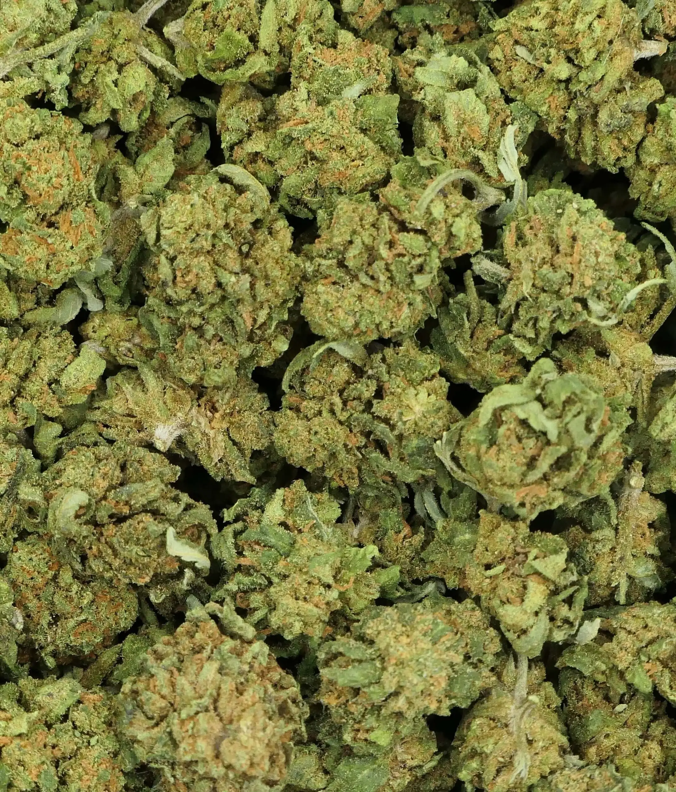 SMALL BERRIES CBD FLOWER