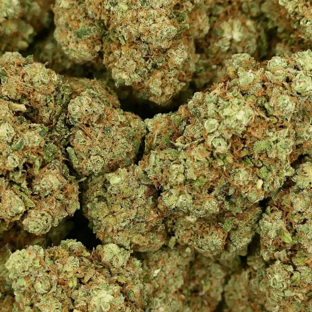 SKYWALKER OG - FLEUR HYDRO - CBD
