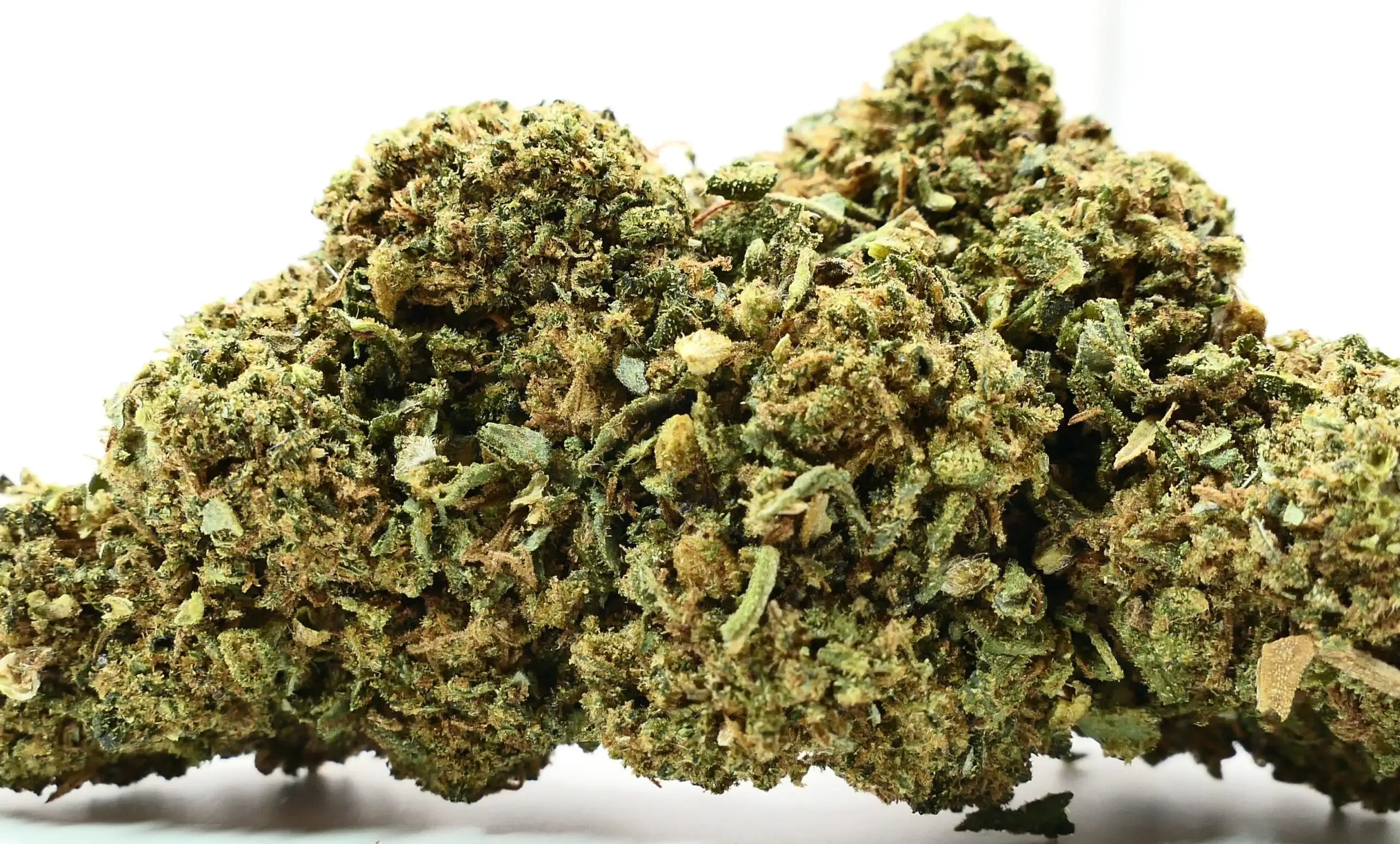 gelato fleurs de cbd