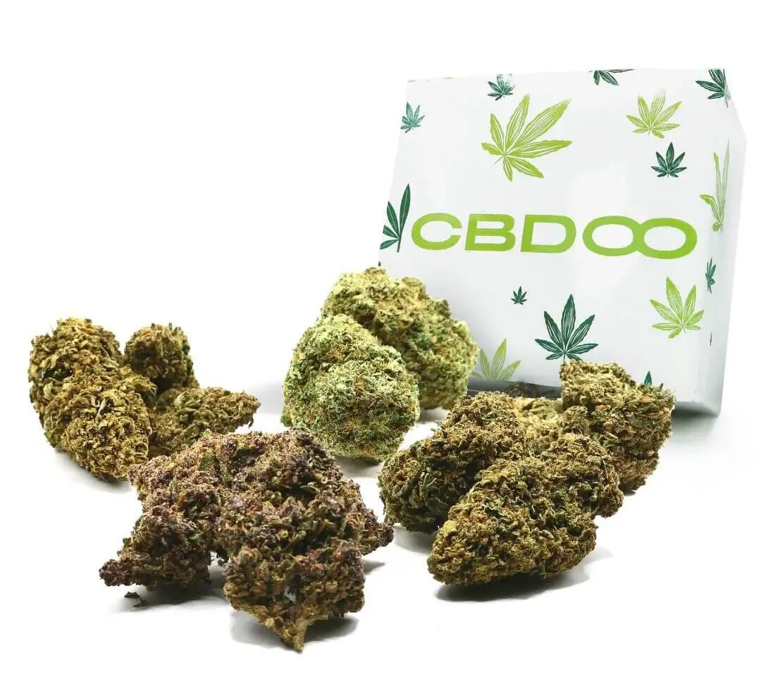 BOX signature cbd
