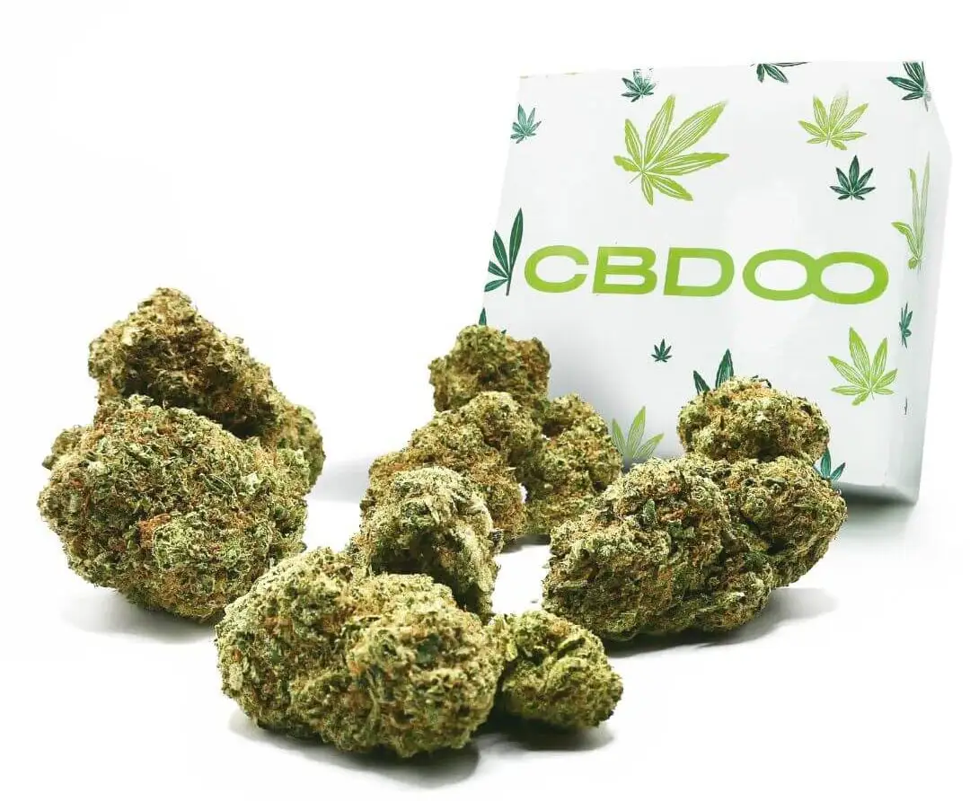 box hydro cbd