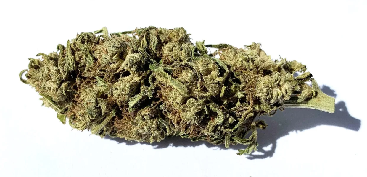 cbg haze fleurs de cbg cbg haze fleurs de cbg