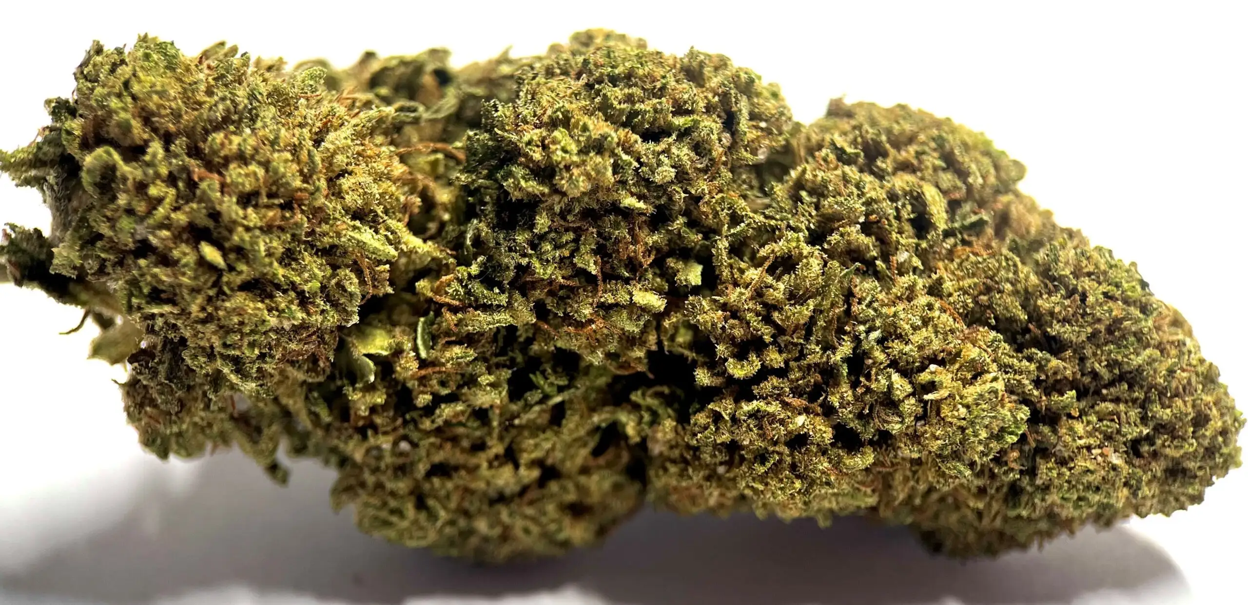 Tangi Tonic Tangi Tonic Fleurs de CBD