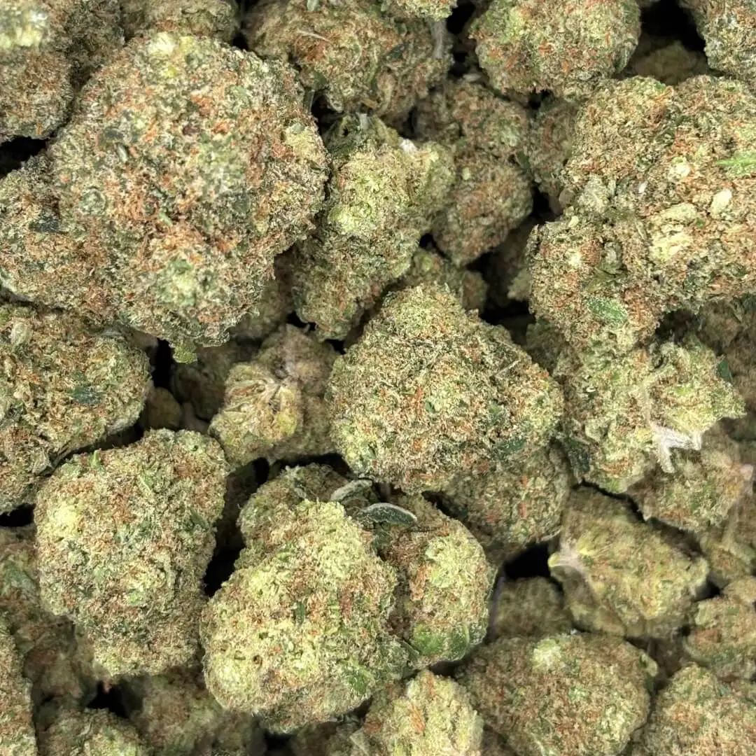 BUBBLEGUM GELATO BUBBLEGUM GELATO