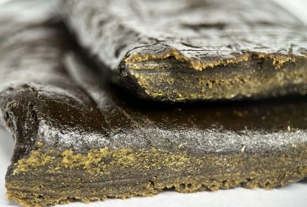 Chocolate Blast Chocolate Blast résine THCP