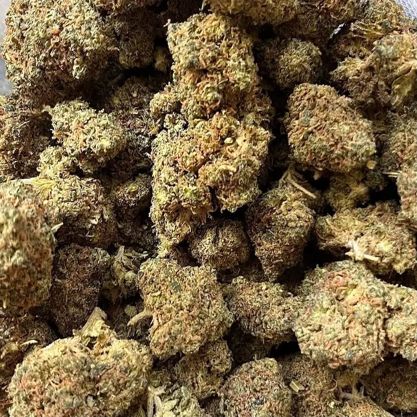 pakistan chitral kush PAKISTAN CHITRAL kush thm