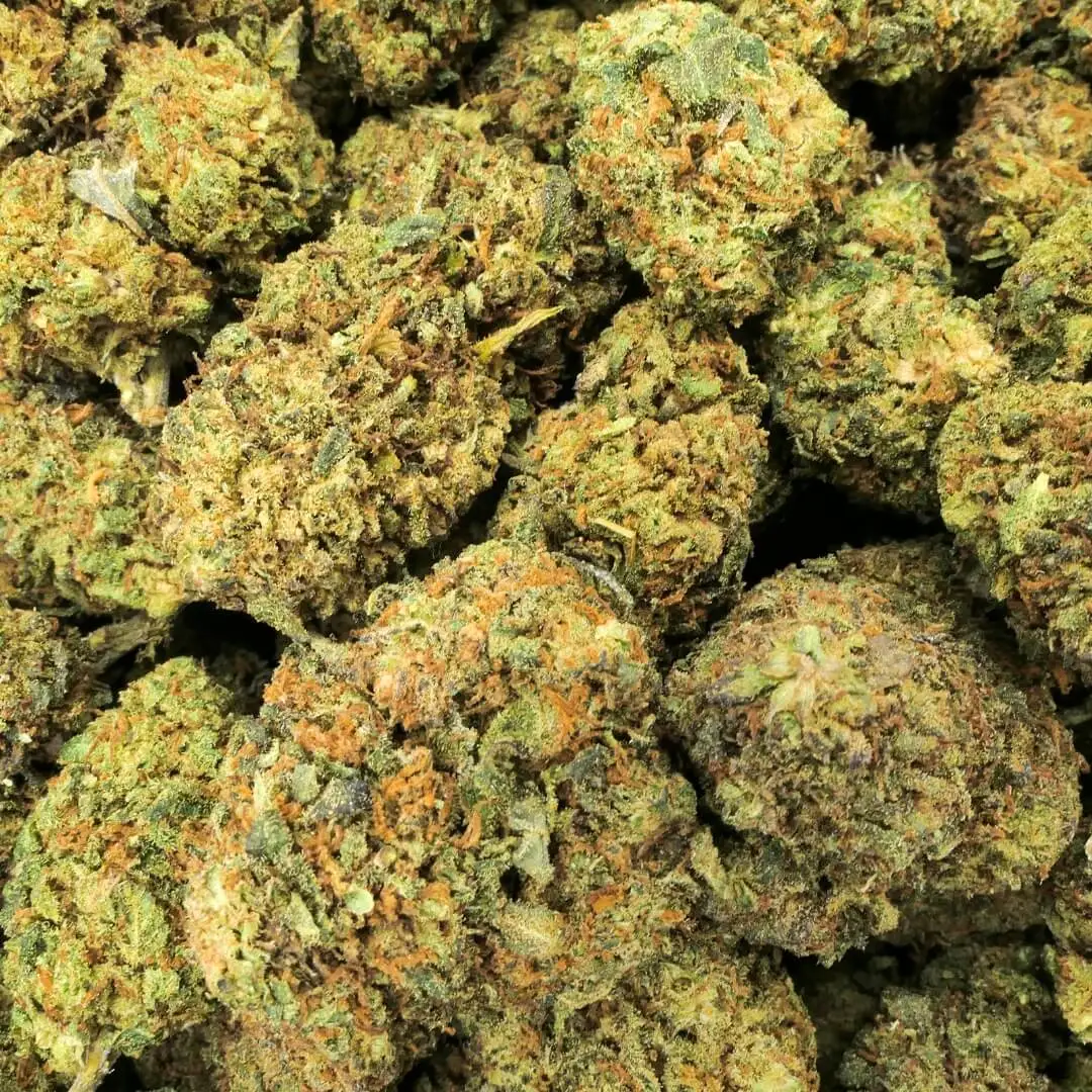 BLUE ZUSHI - FLEUR 10 OH HHC BLUE ZUSHI - FLEUR 10 OH HHC