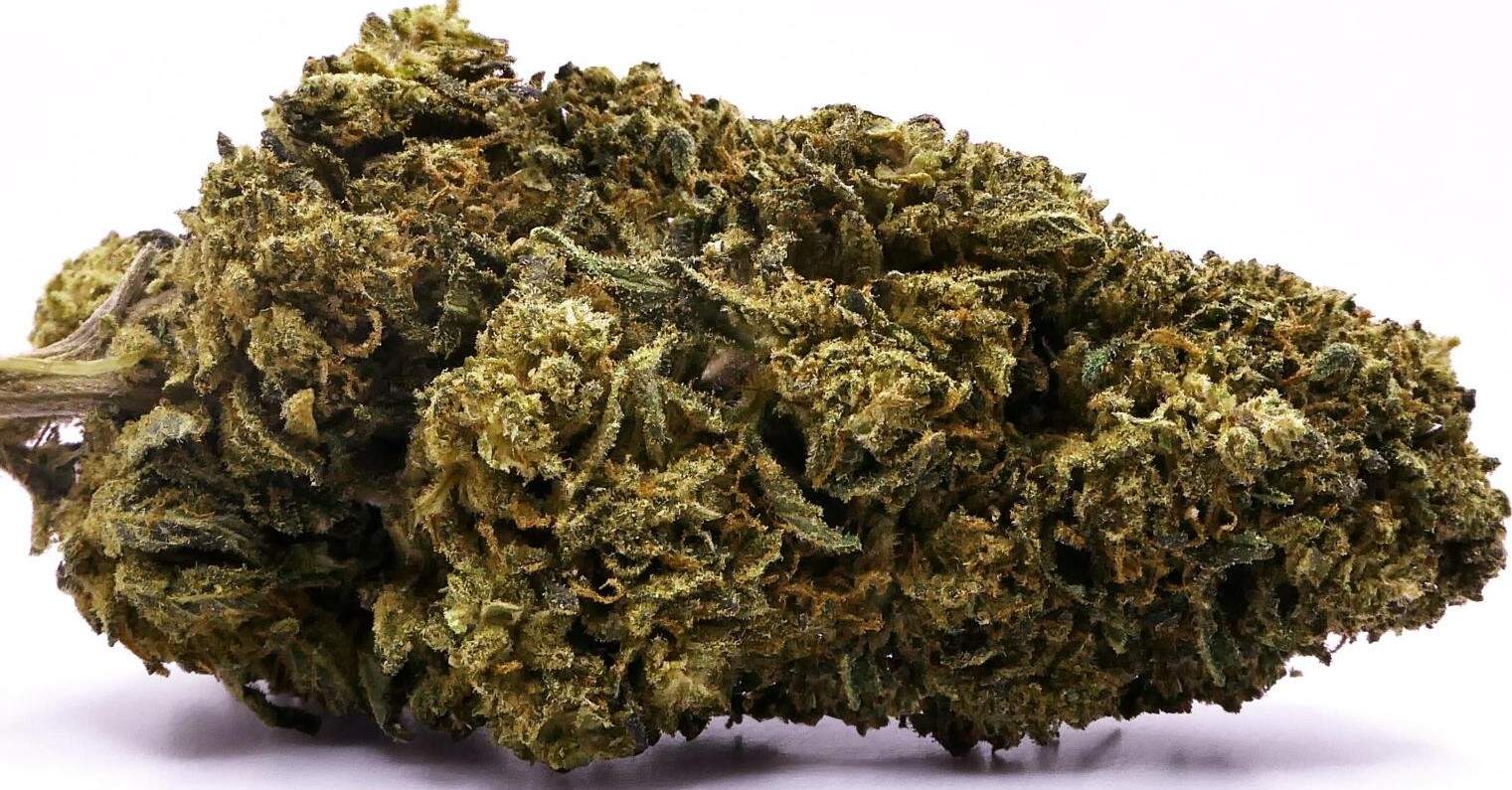 WHITE RHINO CBD-bloem