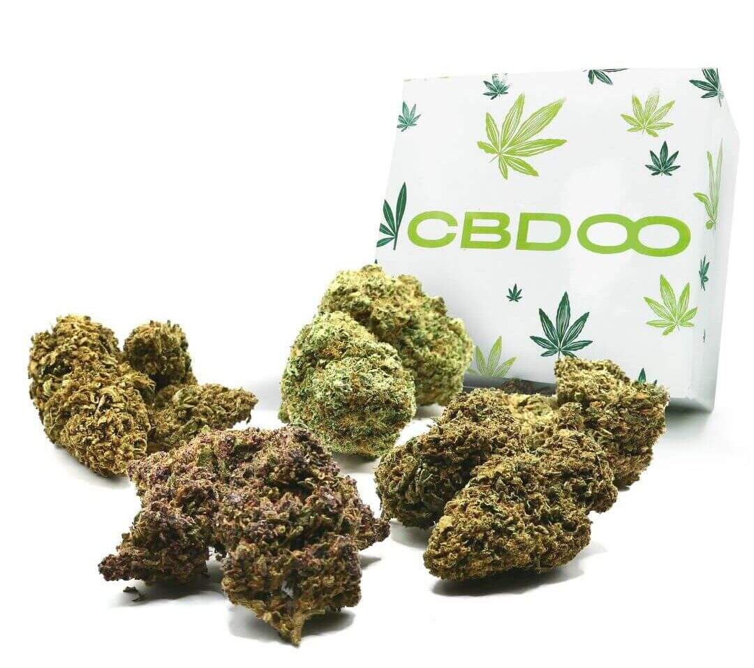 BOX esclusivo al CBD