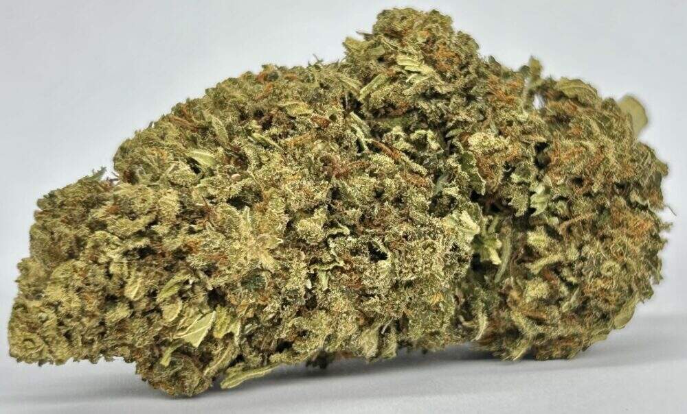 Legendary Punch fleurs de cbd