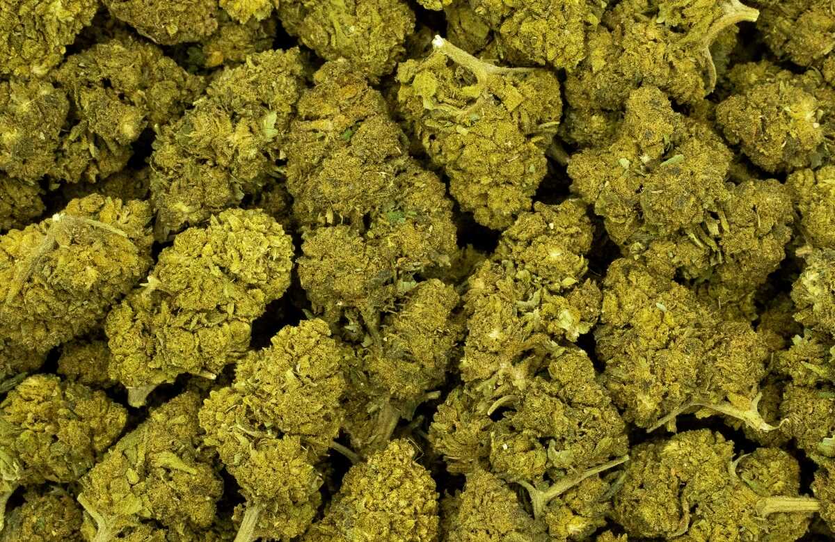 CBD Greenkush