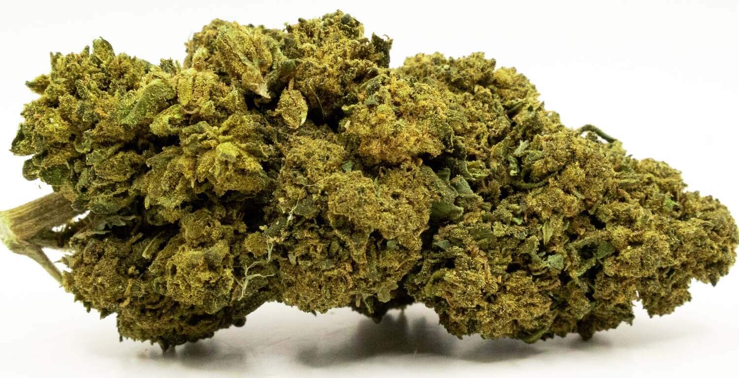 Cogollo Greenkush