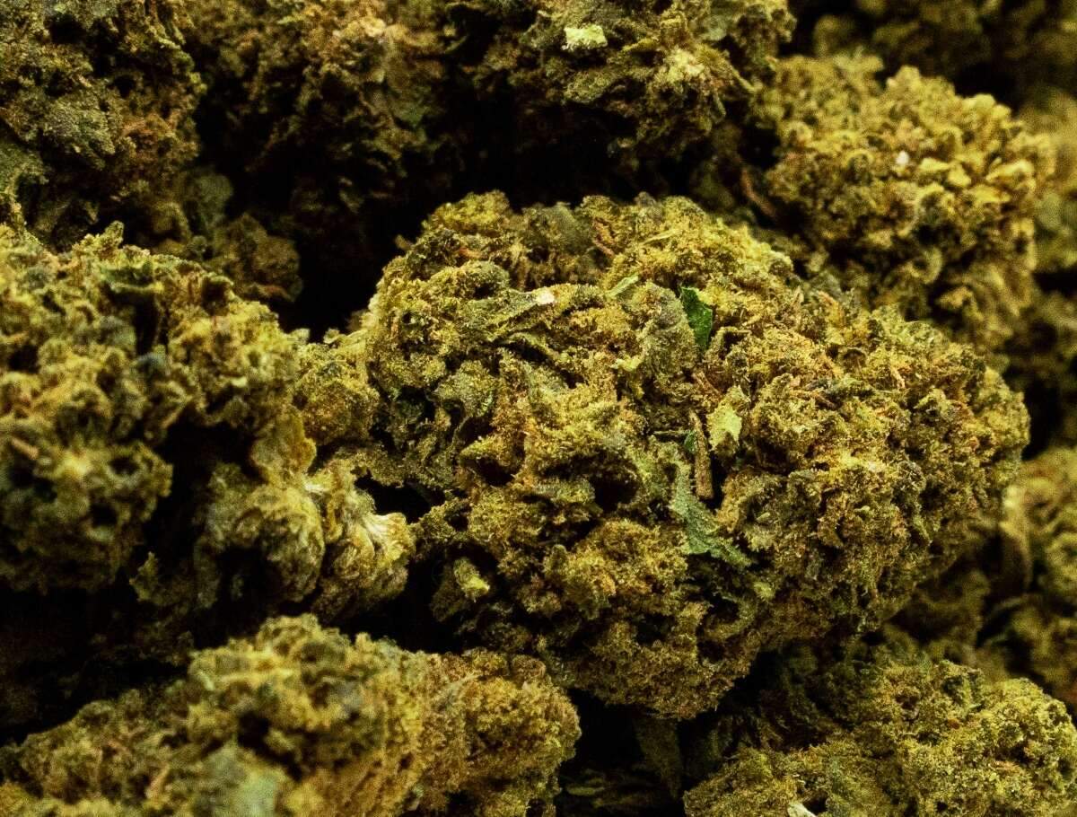 buds Greenkush con CBD