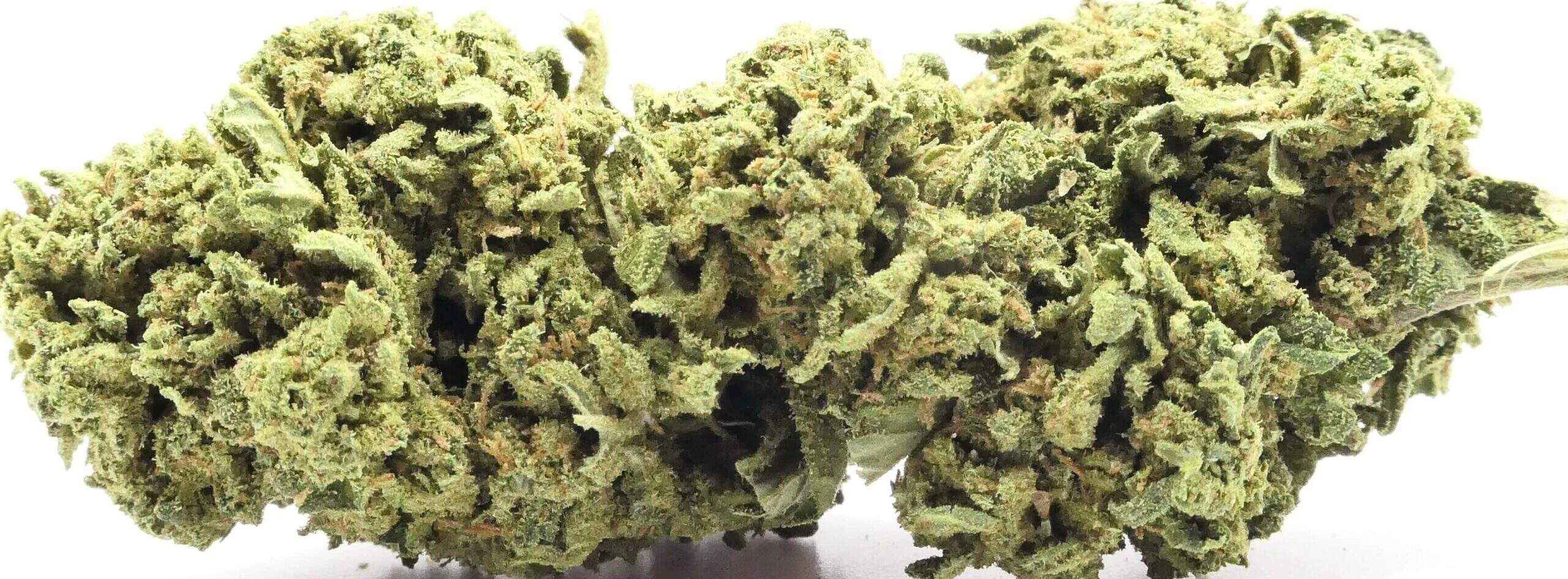 FLOR DE CBD GREEN KUSH