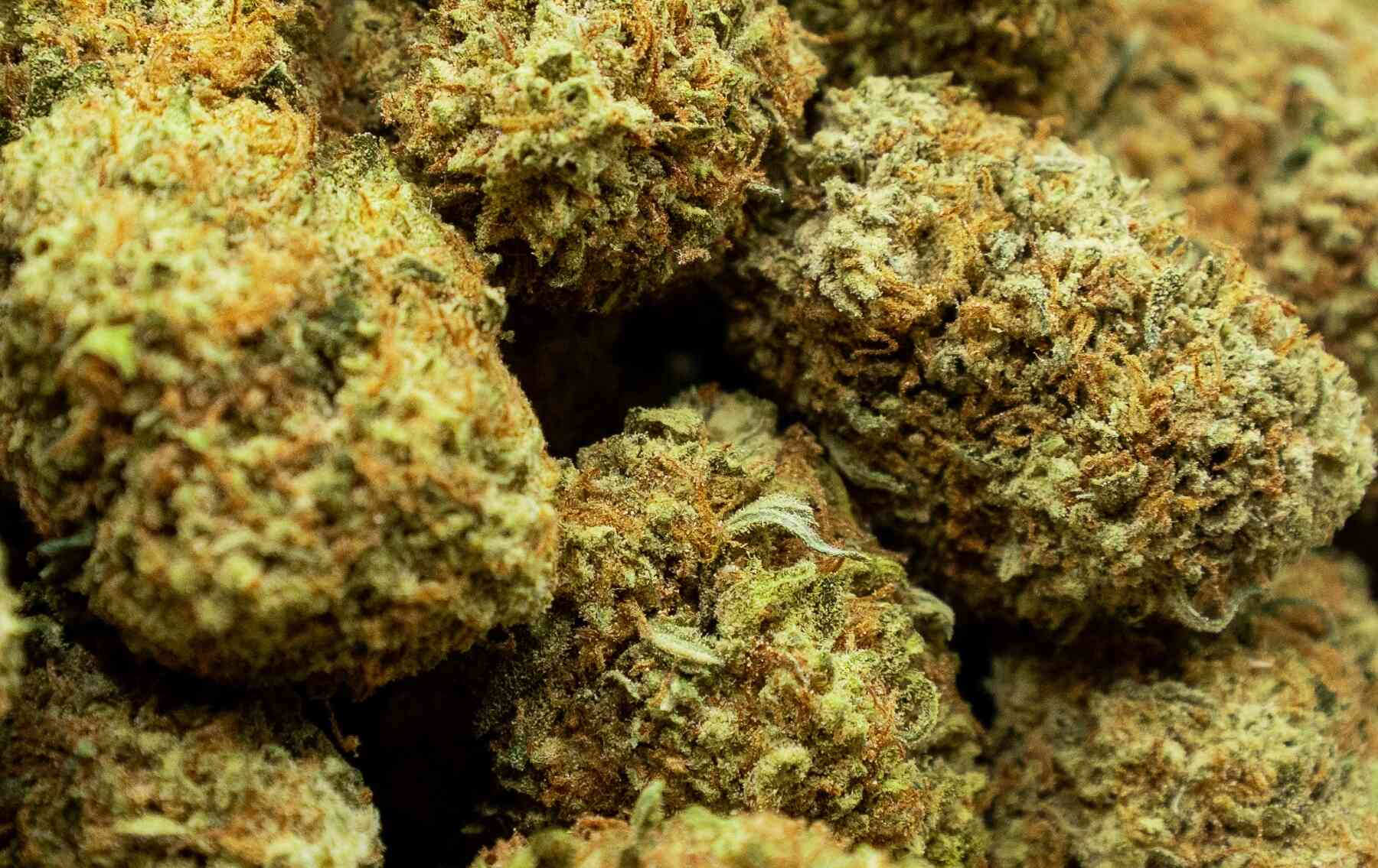buds de gravedad cero
