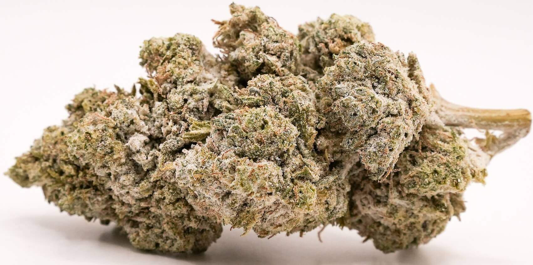 Blancanieves CBD
