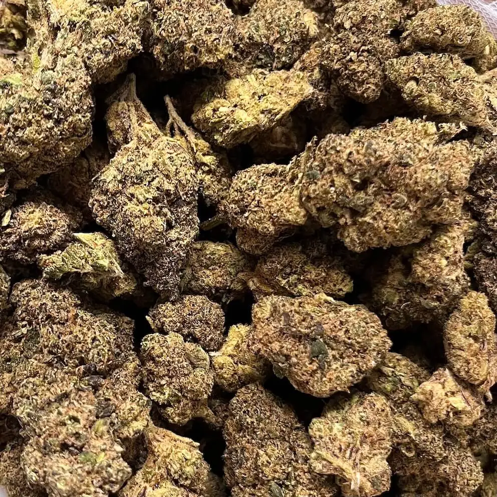 Jungle fruit jungle fruit cbdp fleurs