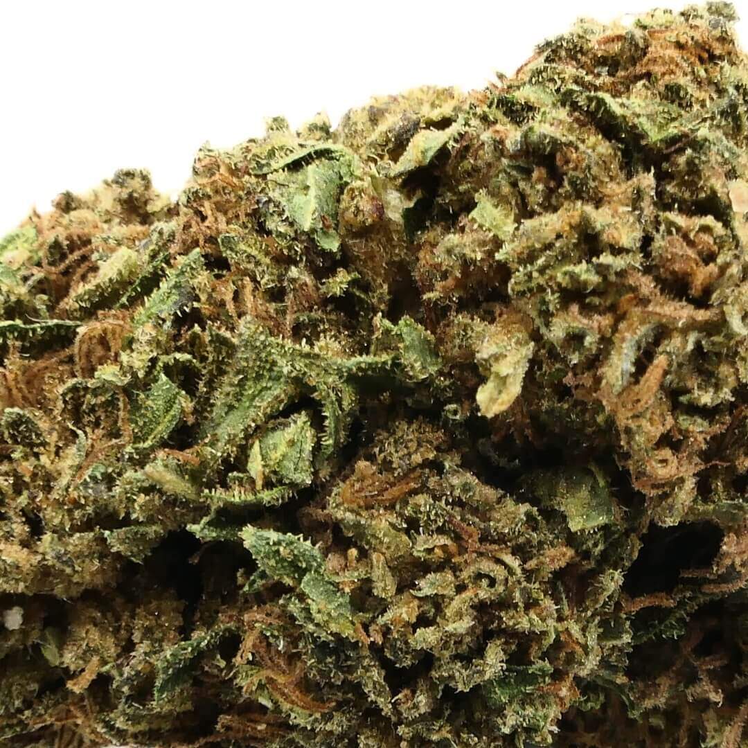 CANNADIESEL CBD-BLOEM