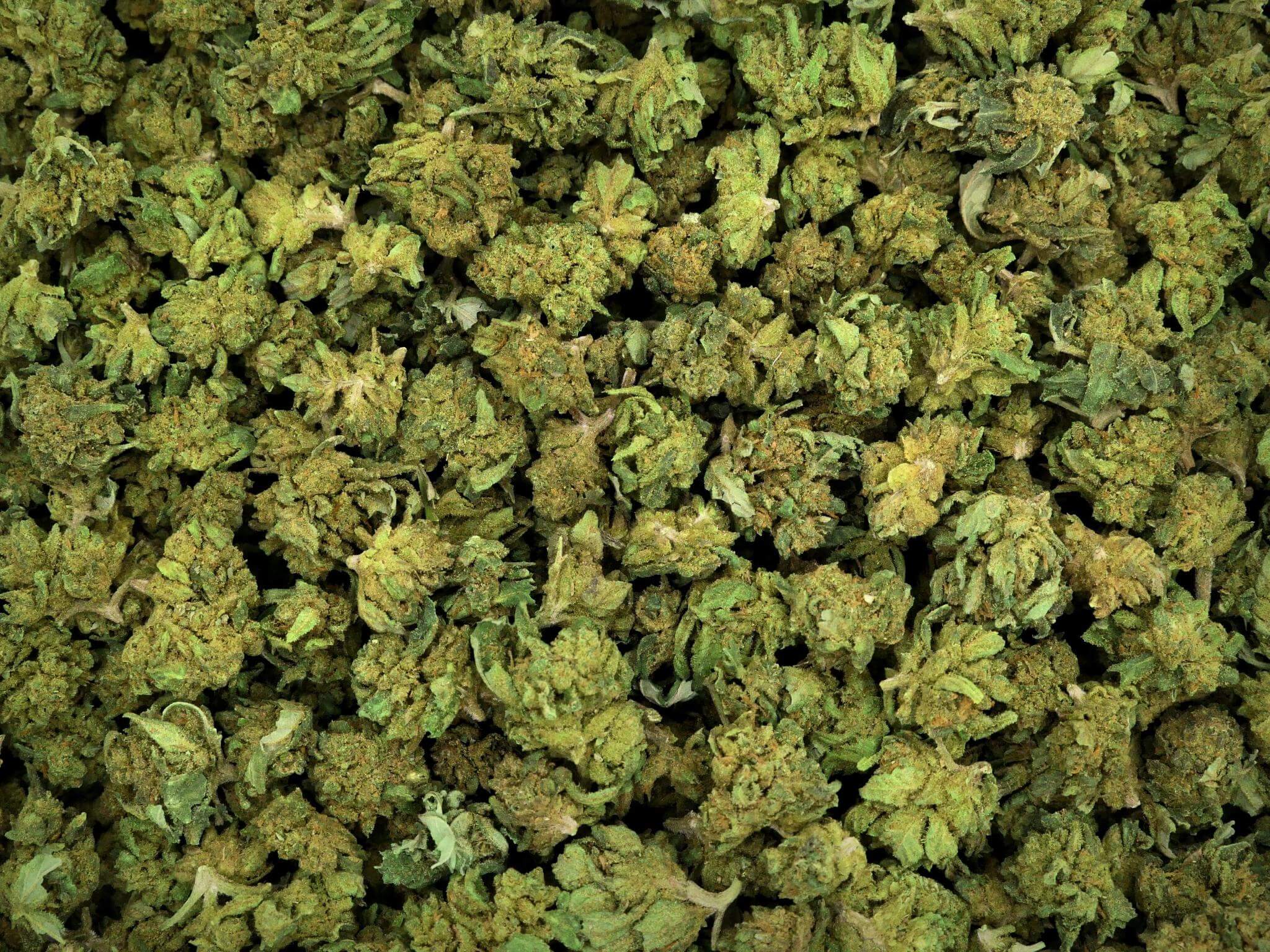 SMALL BUD EMERALD JACK