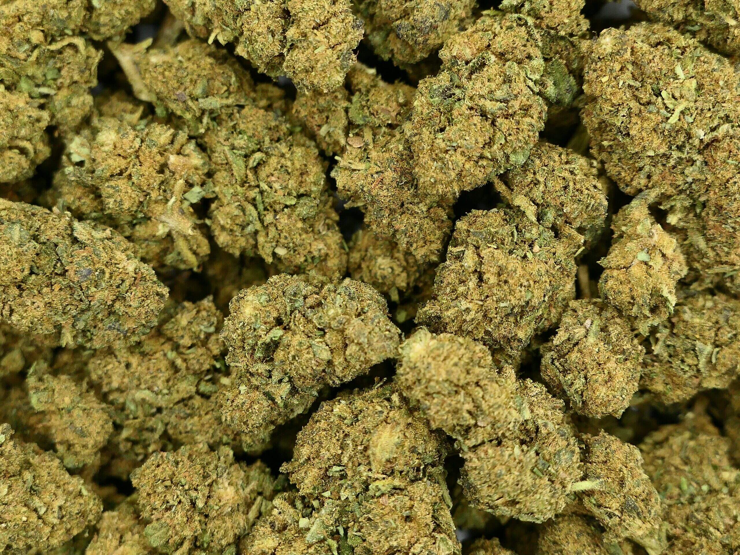 G13 HAZE FLEUR DE CBD