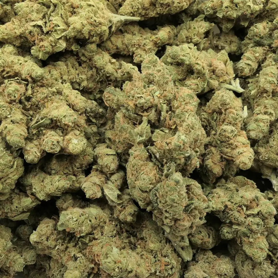 SUPER SILVER HAZE - Hydroponische CBD-Blume