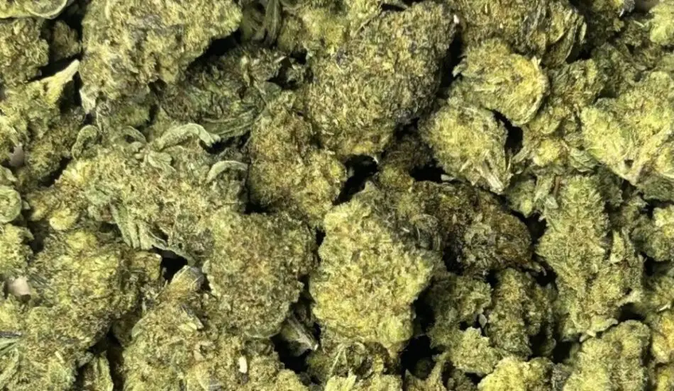 Fleurs de H4CBD V1